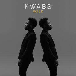 Album cover of Walk (Todd Edwards Remix)
