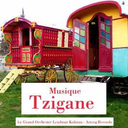 Album cover of Musique tzigane