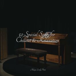 Album cover of 50 Special Songs for Chillout & Relaxation