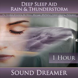 Album cover of Rain & Thunderstorm (Deep Sleep Aid) [For Tinnitus, Insomnia, De-Stress, Massage, Meditation, Holistic Healing, Relaxation] [1 Hou