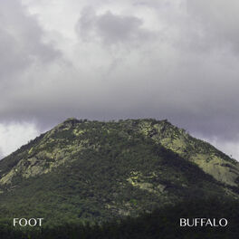 Album cover of Buffalo