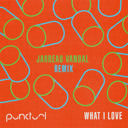 Album cover of What I Love (Jarreau Vandal Remix)