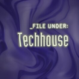 Album cover of File Under: Techhouse