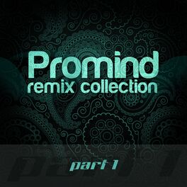 Album cover of Promind - Remix Collection Part 1