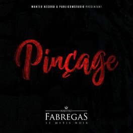 Album cover of Pinçage