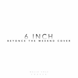 Album cover of 6 Inch (feat. Nicole Medoro)