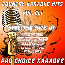 Album cover of Country Karaoke Hits, Vol. 151 (The Greatest Country Karaoke Hits)