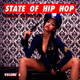 Album cover of State of Hip Hop: Under Suspicion, Vol. 6