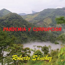 Album cover of PANDEMIA Y CORRUPCIÓN