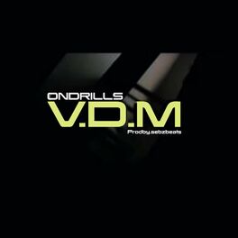 Album cover of VDM
