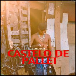 Album cover of Castelo de Pallet