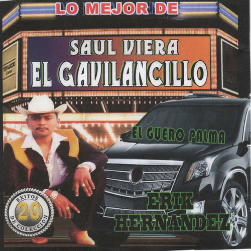 Saul Viera El Gavilancillo La Barquita Canción con letra Deezer