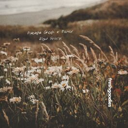 Album cover of Slow Breeze