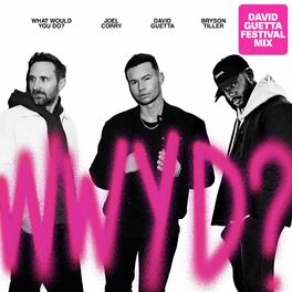 Album cover of What Would You Do? (feat. Bryson Tiller) [David Guetta Festival Mix]