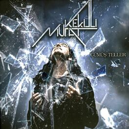 Album cover of Gümüş Teller