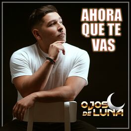 Album cover of Ahora Que Te Vas
