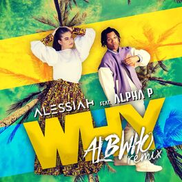 Album cover of Why (Albwho Remix)