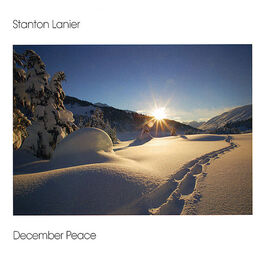 Album cover of December Peace