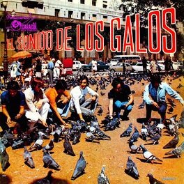 Album cover of El sonido de Los Galos
