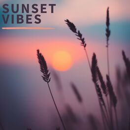 Album cover of Sunset Vibes (Compilation)