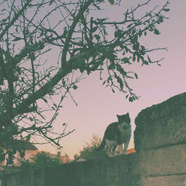 Album cover of Madja