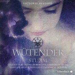 Album cover of Wütender Sturm (Die Farben des Blutes 4)