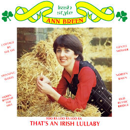 Album cover of Irish Style