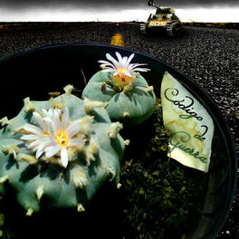 Album cover of Peyote