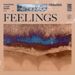 Album cover of Feelings (Remixes)