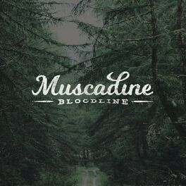 Album cover of Muscadine Bloodline