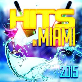 Album cover of Hits in Miami 2015 (58 Essential Hits EDM for DJ)