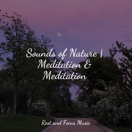 Album cover of Sounds of Nature | Meditation & Meditation