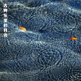 Album cover of 古典乐里的月光
