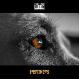 Album cover of Instincts (feat. Brittany Chrishawn)