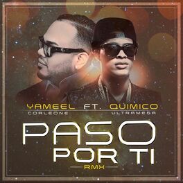 Album cover of Paso por Ti (Remix)