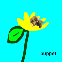 Album cover of The Puppet