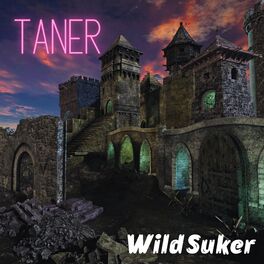 Album cover of Wild Suker