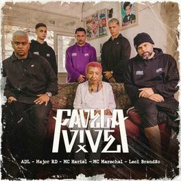 Album cover of Favela Vive 5