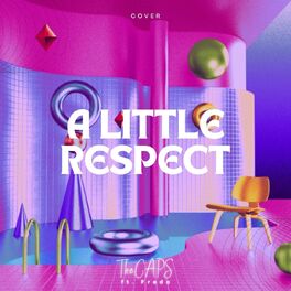 Album cover of A Little Respect