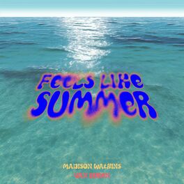 Album cover of Feels Like Summer