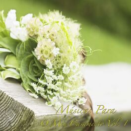 Album cover of Músicas para o Meu Casamento, Vol. 1