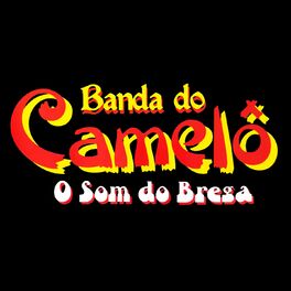 Album cover of O Som do Brega