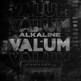 Album cover of Valum