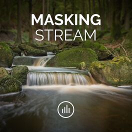 Album cover of Masking Stream