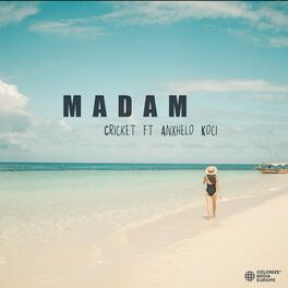 Album cover of Madam (Remix)