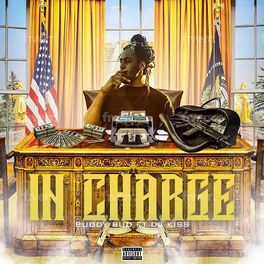 Album cover of In Charge (feat. DJ Kiss)