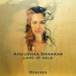 Album cover of Land Of Gold (Remixes)