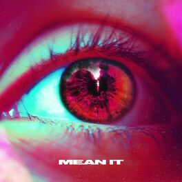 Album cover of Mean It