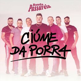 Album cover of Ciúme da Porr4