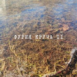 Album cover of Фурия круча №2
